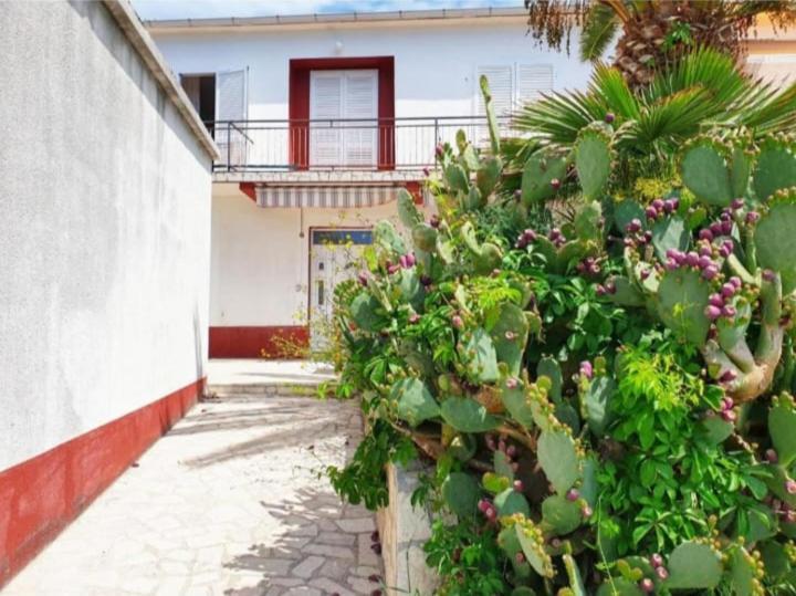 Apartmanibeta Stara Novalja Exterior photo